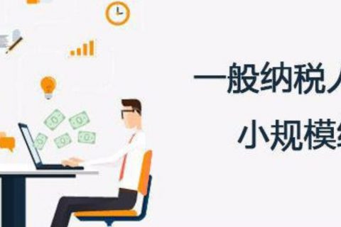 拉薩的一般納稅人和小規(guī)模納稅人納稅方式以及認定資格是什么？同內(nèi)地企業(yè)有區(qū)別嗎？