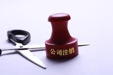 拉薩注銷一個公司，需要去幾個部門？整體時間需要多久？大概流程是怎樣的？