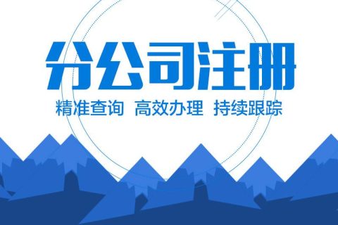 在拉薩設立分公司的流程、所需材料、辦理時間
