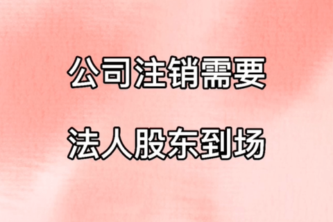 拉薩公司注銷，需要法人、股東到場嗎？