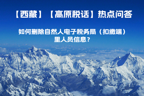如何刪除西藏自然人電子稅務局（扣繳端）里人員信息？
