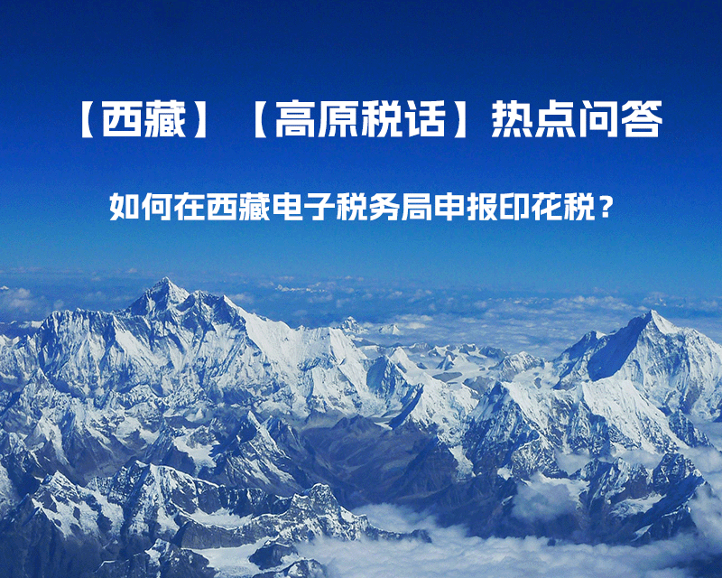 如何在西藏自治區(qū)電子稅務(wù)局申報印花稅？
