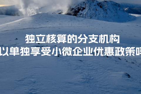 獨立核算的分支機構可以單獨享受小微企業(yè)優(yōu)惠政策嗎？